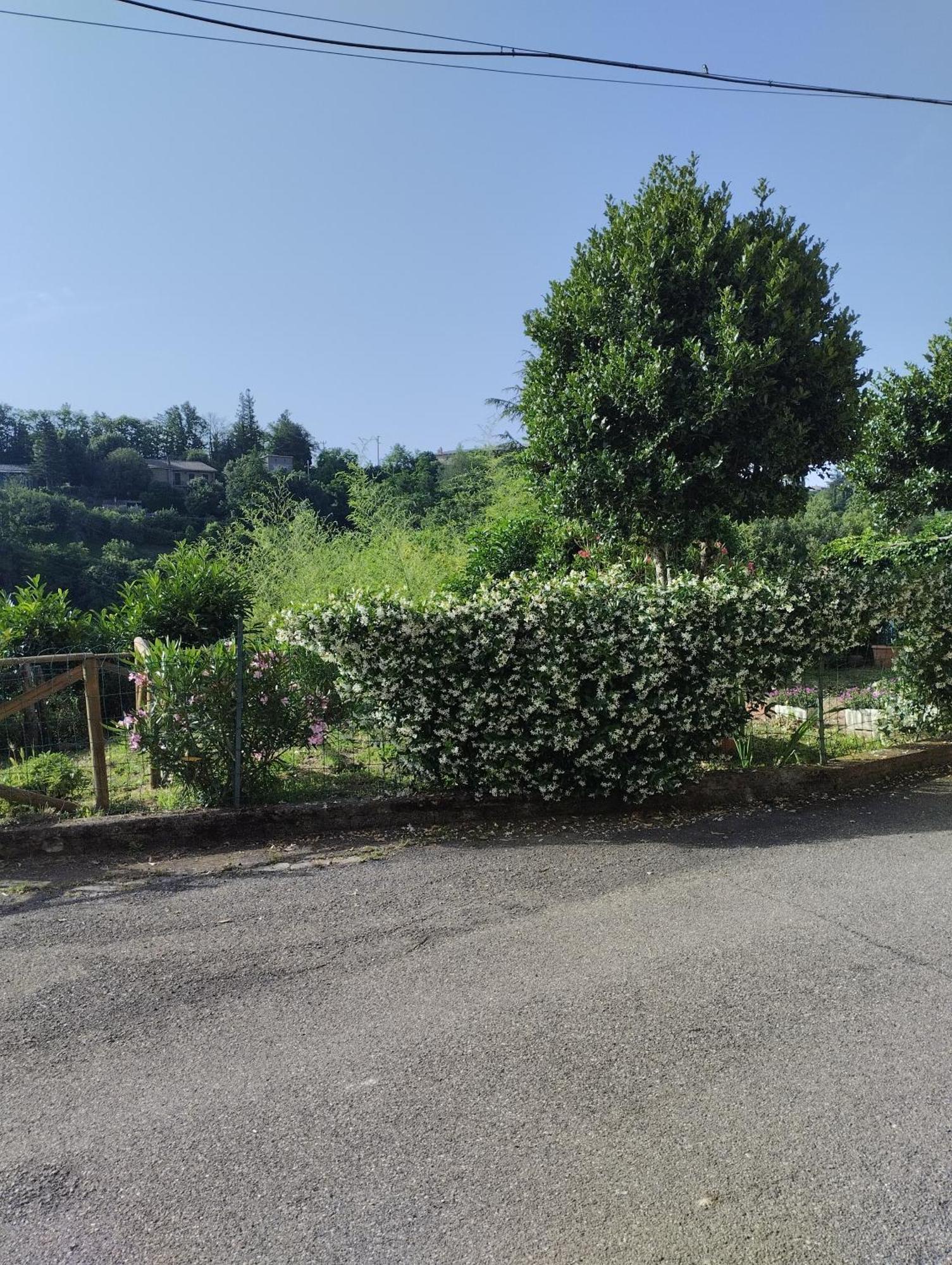 Casavacanzetorresansevero Orvieto Exteriér fotografie